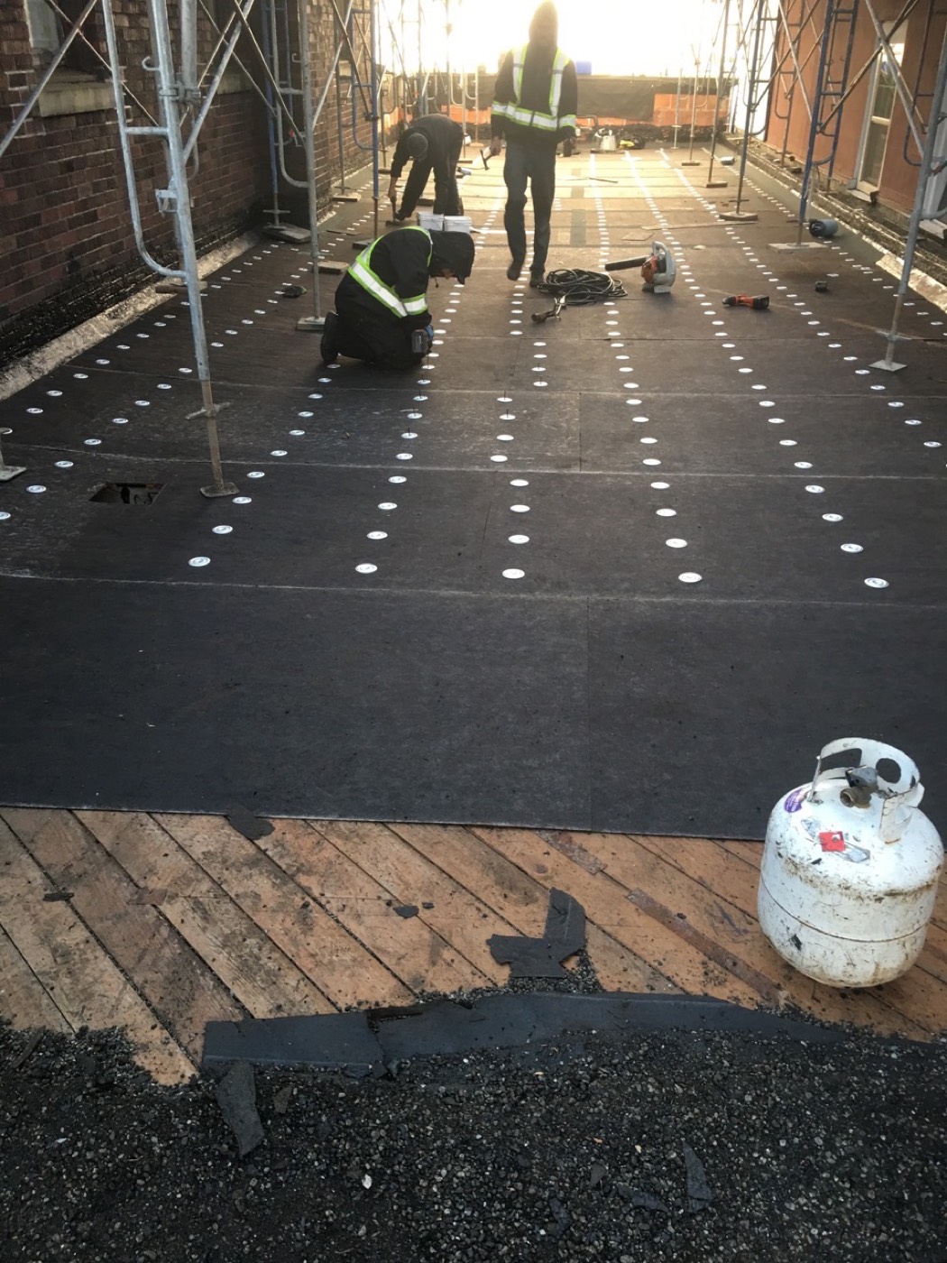 Flat roof membrane laid