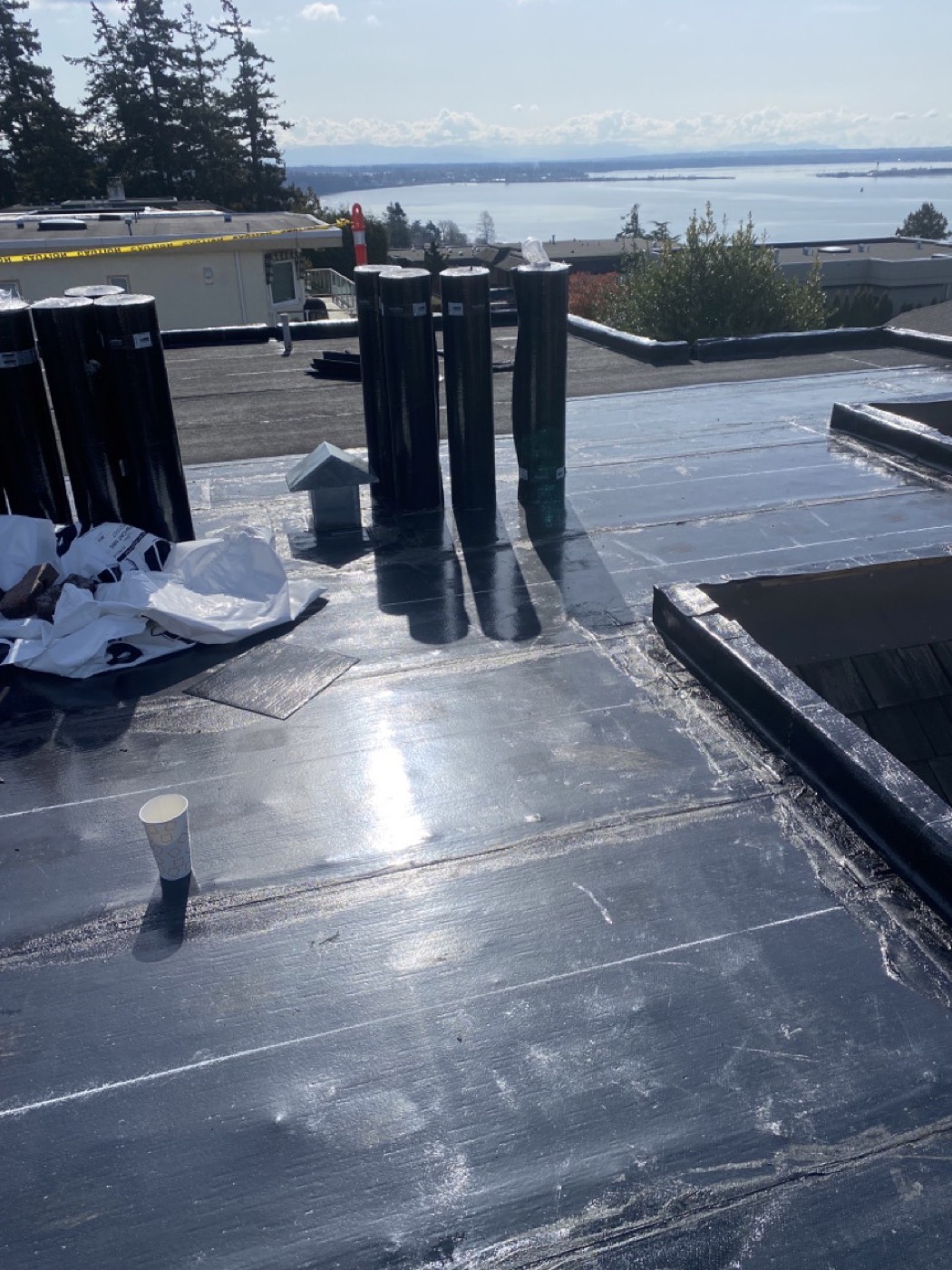 Residential roof